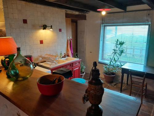 Grange rénovée et son jardin dans l'Avant Pays Savoyard