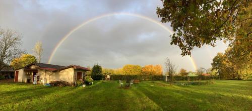 Groot huis met tuin op het platteland