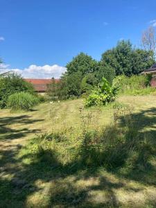 Groot huis met tuin op het platteland
