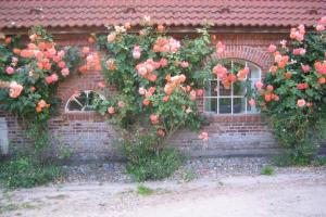 Maison de vacances Gut Hohenstein - Stellmacherhaus Gut Hohenstein 24360 Barkelsby Schleswig-Holstein