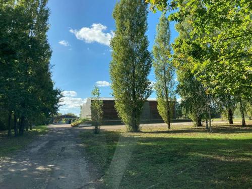 Habitation en bois authentique