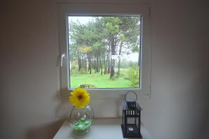 Happy Cat House - Holiday Rental