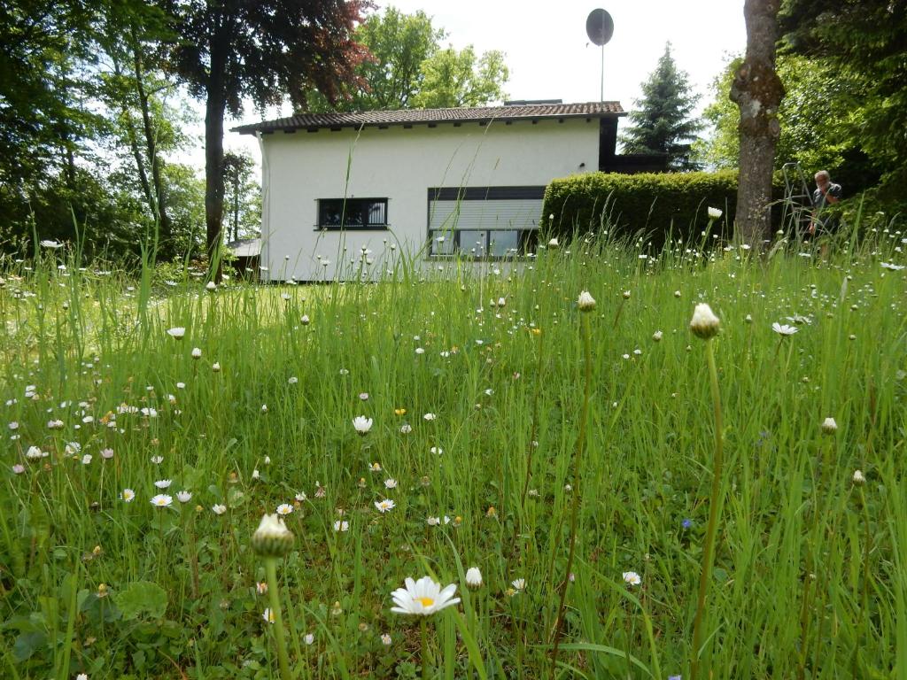 Haus am Wald Eichenweg 8, 54587 Lissendorf