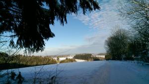 Maison de vacances Haus am Wald Eichenweg 8 54587 Lissendorf Rhénanie-Palatinat
