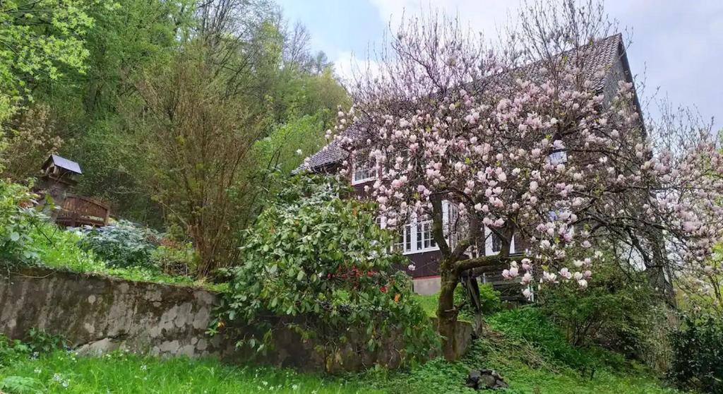 Haus am Wald Zorge 16+ Gäste 9 Braunlager Straße, 37449 Walkenried