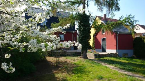 Haus an den Elbwiesen