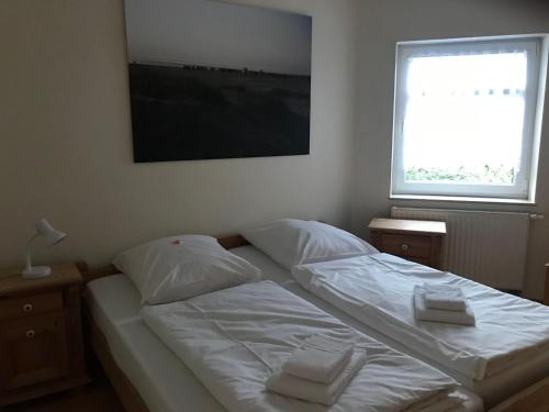 Haus-Austernfischer
