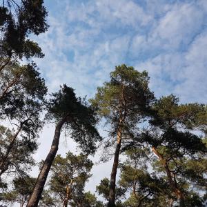 Haus Auszeit, Bad Saarow-Strand