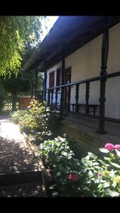 Maison de vacances Haus Bergblick Hochwaldstraße 26 a 02797 Luftkurort Lückendorf Saxe