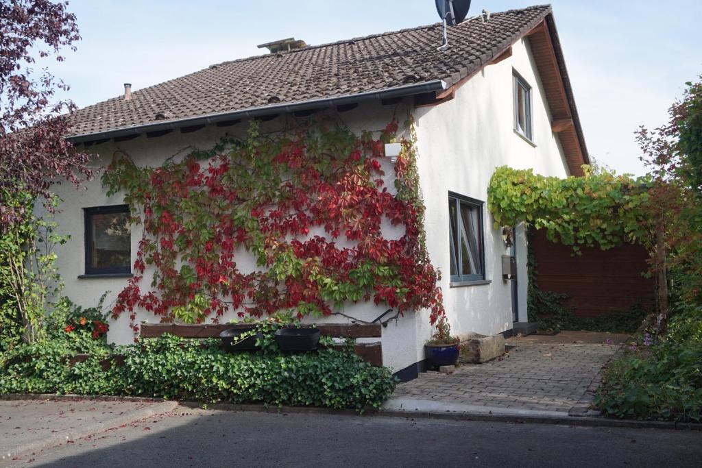 Maison de vacances Haus Eifeldolomiten - Ankommen und Wohlfühlen Am Stausee 3a 54568 Gerolstein