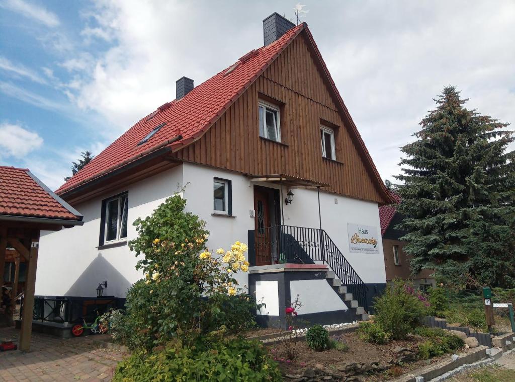 Haus Löwenzahn 1A Johannisholz, 38889 Hüttenrode