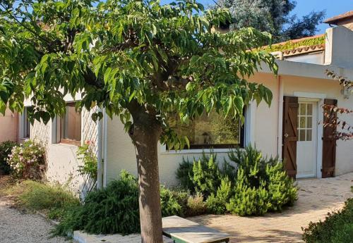 Haus mit Garten über der Bucht von Cannes