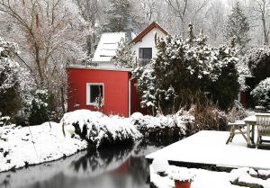 HAUS MIT KUNST ZWISCHEN WALD UND SEE