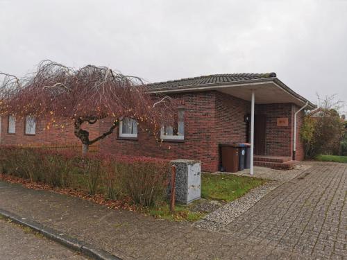 Haus No 11, Schillig