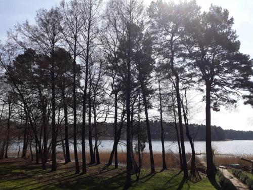 Haus Wilma Grüne Idylle im Wald direkt am See