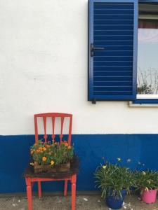HERDADE PALMA t2