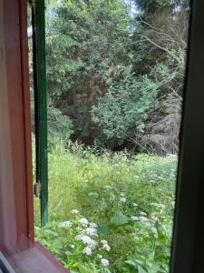 Hexenhaus im Jagdhof Carlshaus