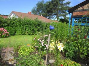 Holiday cottage Baltic Sea romance in Graal M ritz