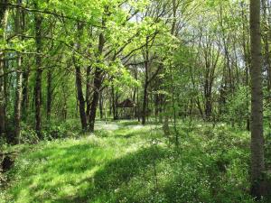 Holiday Home Alexandre - BCA300