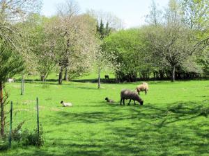 Holiday Home Au Verger Fleuri - HUD400