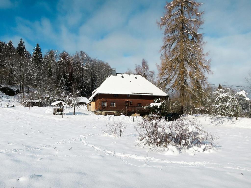 Holiday Home Bistenhof , 79856 Hinterzarten