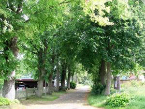 Holiday Home Boddenruhe