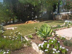 Holiday Home Casa Doroteia