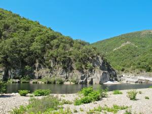 Holiday Home Chassezac - LVS100
