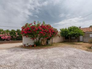 Holiday Home Dami I - MNI210
