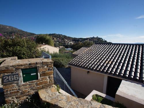 Holiday Home Gazanias