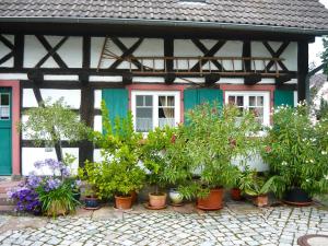 Maison de vacances Holiday Home Haus Schwärzel  77743 Neuried Bade-Wurtemberg