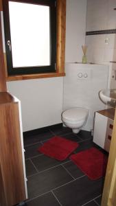 Holiday home in Friedland 2712