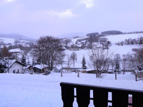 Holiday home in Winterberg Gr nebach with terrace