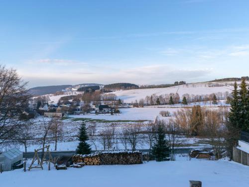 Holiday home in Winterberg Gr nebach with terrace