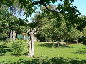 Holiday Home L'Oasis provencale - AVI120