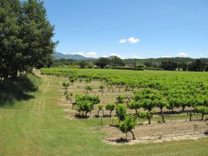 Holiday Home La Cardeline - GRG200