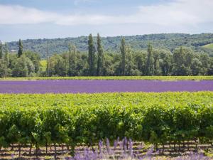 Holiday Home La Machotte