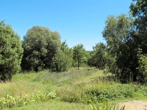 Holiday Home Le Moulin de Verfeuil - VEF100