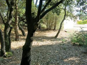 Holiday Home Les Algues - TSM213
