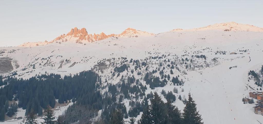 Holiday Home Les Roches - LPU 103