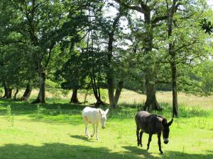 Maison de vacances Holiday Home Les Trois Baudets - ELI100  29370 Elliant Bretagne