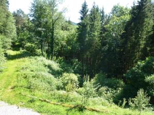 Holiday Home Leubach