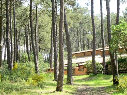 Holiday Home Maison de la forêt 30