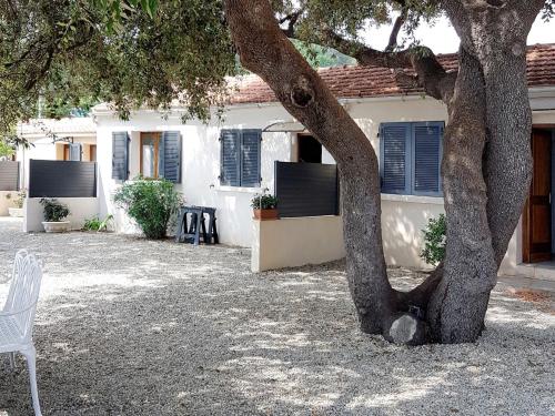 Holiday Home Marine di Manichinu - SOZ405