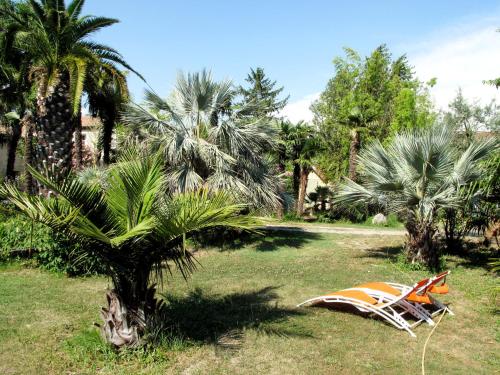 Holiday Home Mas des Palmiers I - TAA520