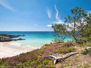 Maison de vacances Holiday Home Orphée - TGM108  29560 Telgruc-sur-Mer Bretagne