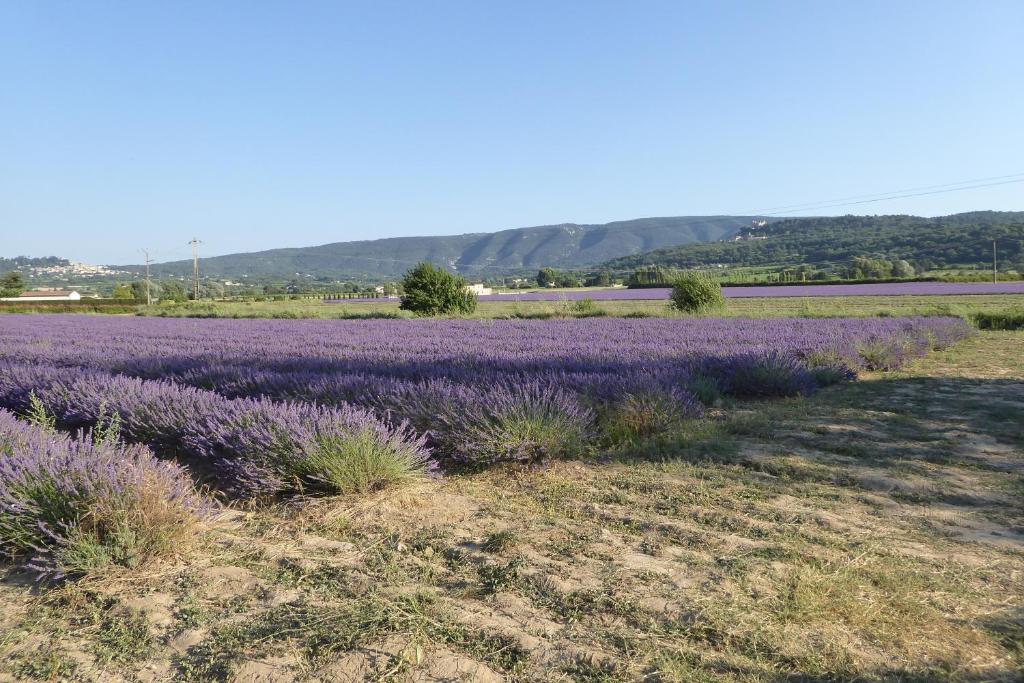 Holiday Home Reve de Mer - LOQ215 29241 Locquirec