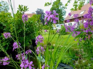 Holiday Home Schmetterlingsgarten