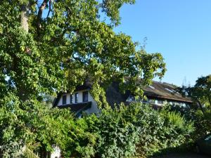 Holiday Home Strandhafer
