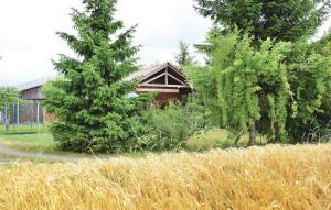 Holiday Home Waldmünchen - 02